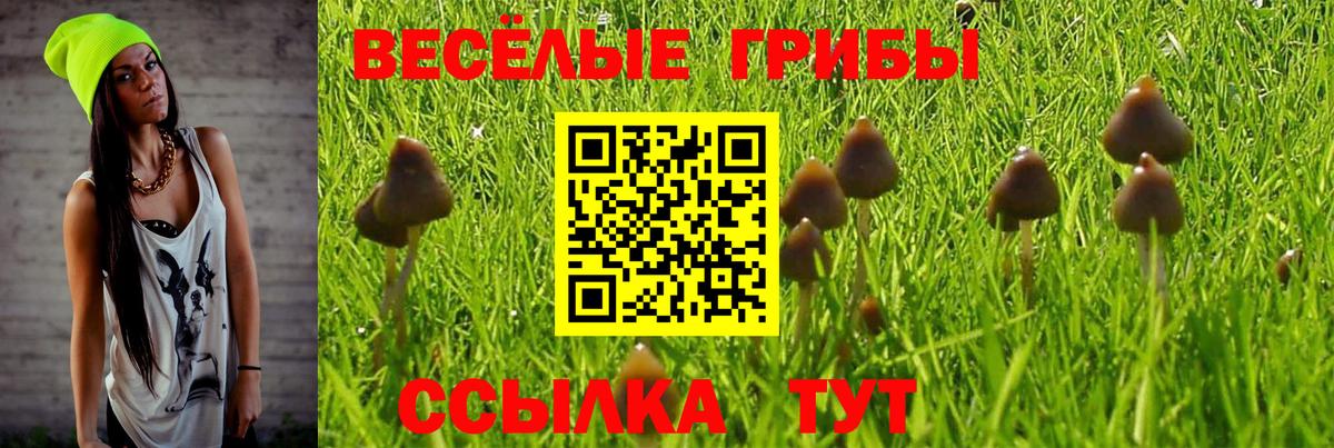 Фролово  Галлюциногенные грибы ЛСД  Вход с VPN  Галлюциногенные грибы мухоморы 